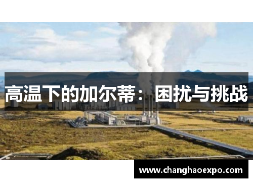 高温下的加尔蒂：困扰与挑战